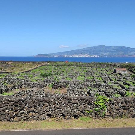 Casa Da Ilha Villa Madalena  Eksteriør bilde