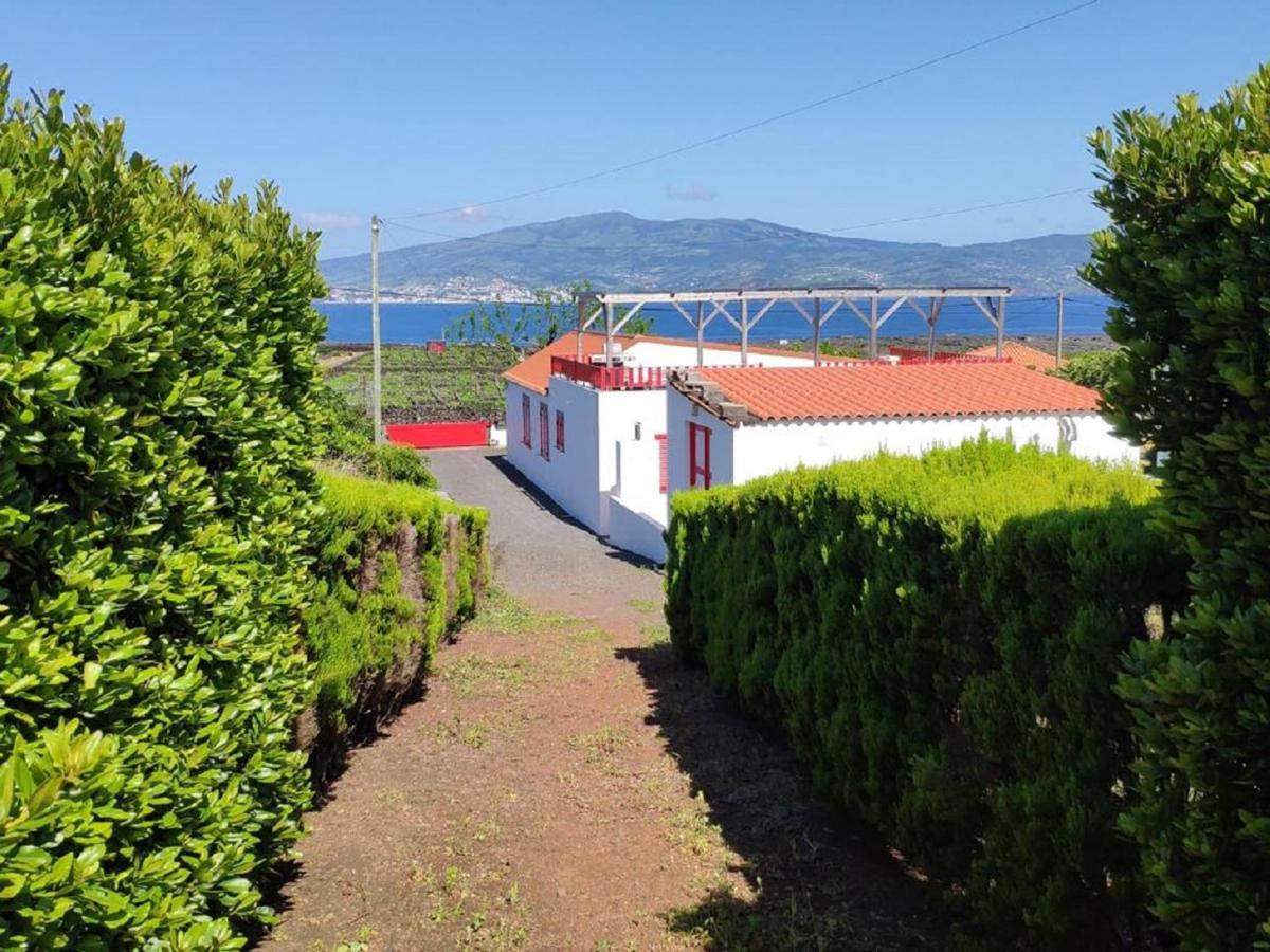 Casa Da Ilha Villa Madalena  Eksteriør bilde