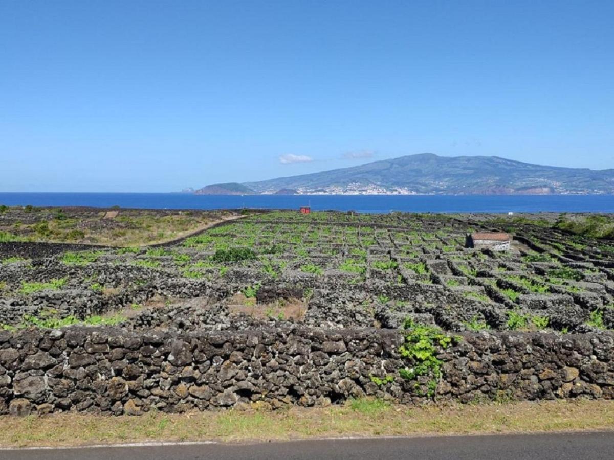 Casa Da Ilha Villa Madalena  Eksteriør bilde