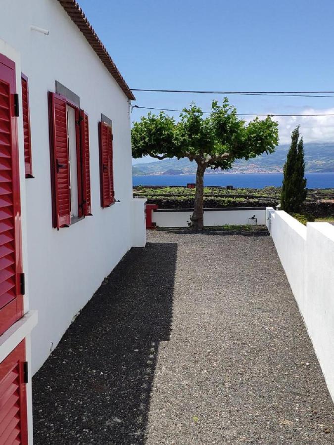 Casa Da Ilha Villa Madalena  Eksteriør bilde